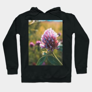 Petals in Sunlight Capture Red Clover's Elegance V2 Hoodie